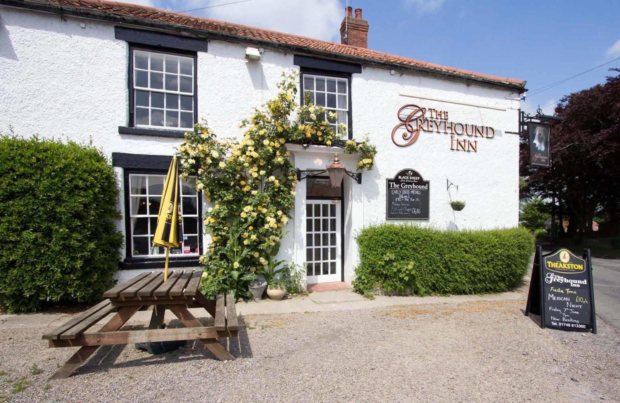 Greyhound